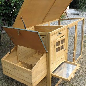 How to Plan a Raised Backyard Chicken Coop
