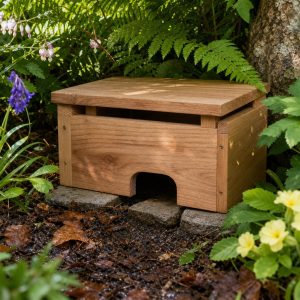 Wooden Toad House With a Cool Shaded Entrance