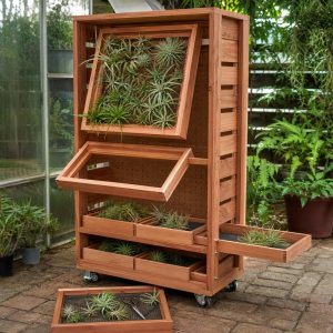Cedar Air-Plant Wall With Removable Display Frames
