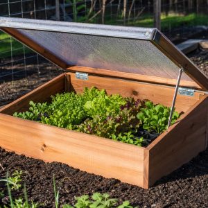 DIY Cold Frame Plans for a Longer Garden Season