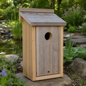 Woodpecker Nest Box With a Replaceable Front Panel