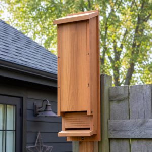 Wooden Bat House Plans: 8 Roosting Details
