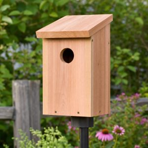 Wooden Birdhouse Plans: 8 Wildlife-Smart Build Details