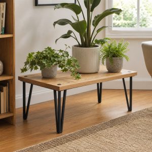 Plant Stand With a Wood Platform and Steel Hairpin Legs